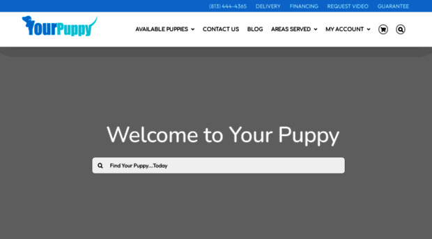 yourpuppyfl.com