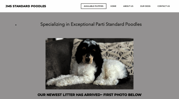 yourstandardpoodle.com