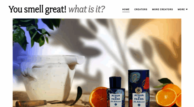 yousmellgreatwhatisit.com
