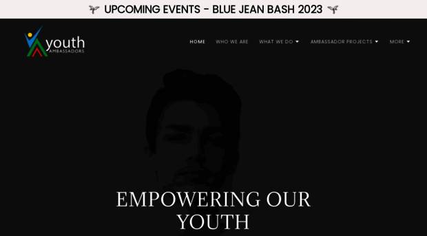 youthambassadorskc.org