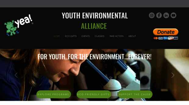 youthenvironmentalalliance.com