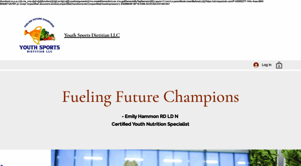 youthsportsdietitian.com