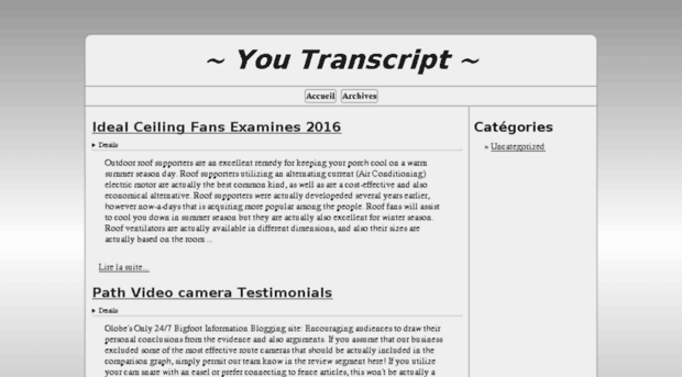 youtranscript.com
