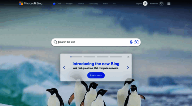 youwww.bing.com