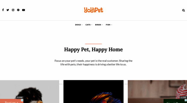 yoyipet.com