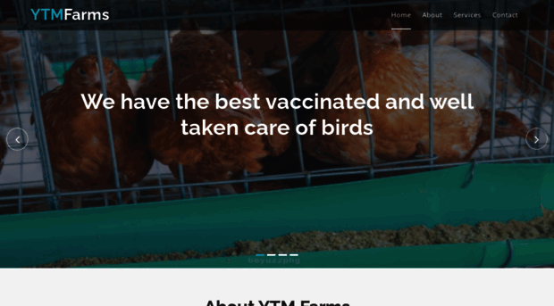 ytmfarms.com