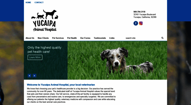 yucaipaanimalhospital.com