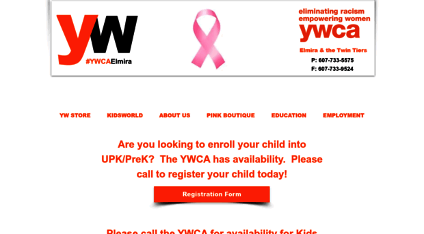 ywcaelmira.org