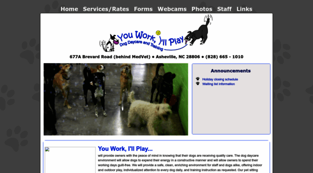 ywipdogdaycare.com