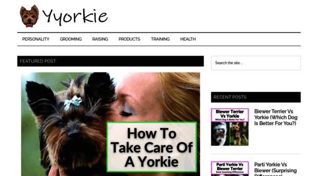 yyorkie.com