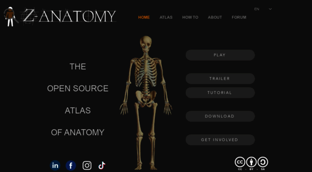 z-anatomy.com