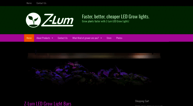 z-lum.com