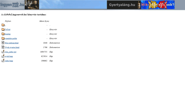 z1z9z9z2.ingyenweb.hu