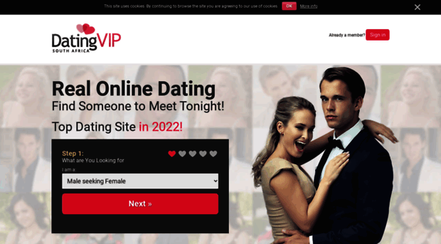 za.datingvip.com