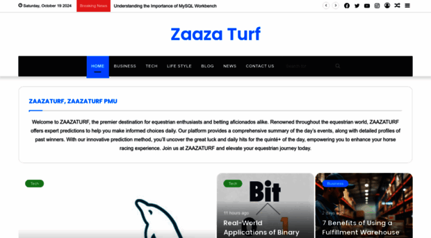 zaazaturf.net