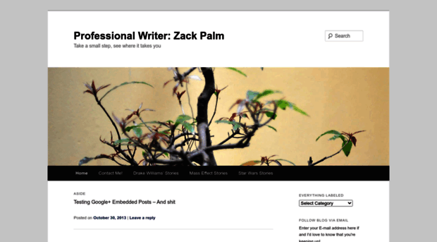 zackpalmwritingenthusiast.files.wordpress.com