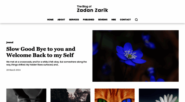 zadanzarik.com