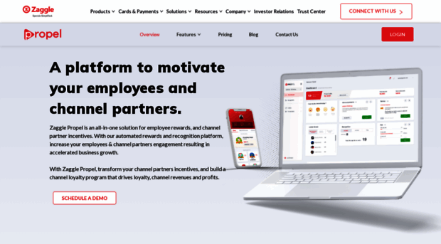 zaggleedge.com