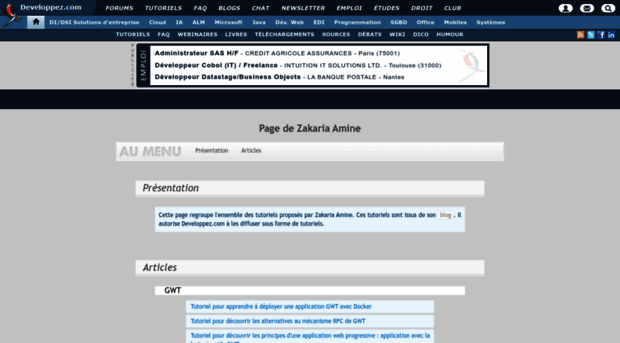 zakariaamine.developpez.com