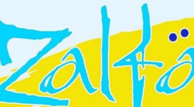 zalfaclean.com