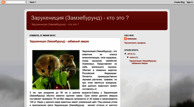 zamzeburund.blogspot.ru