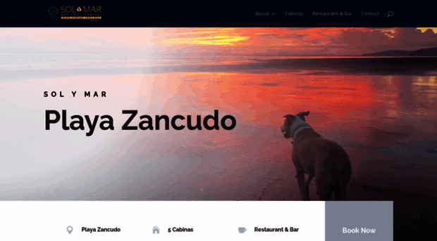 zancudo.com