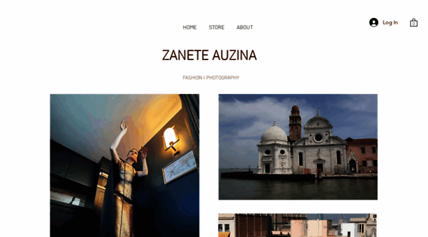 zaneteauzinastudio.com