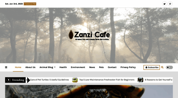 zanzibarcafe.ca