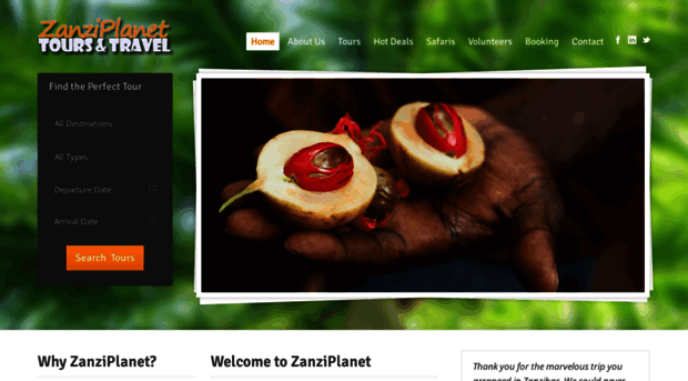 zanziplanet.com