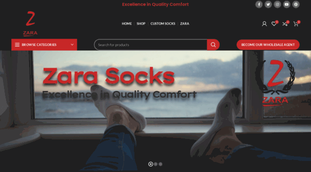 zarasocks.com