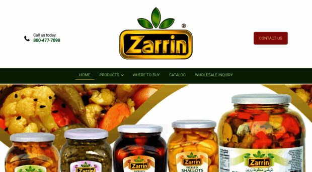 zarrinproducts.com