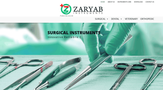 zaryabinstruments.com