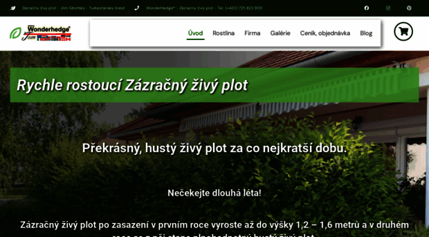 zazracny-plot.cz