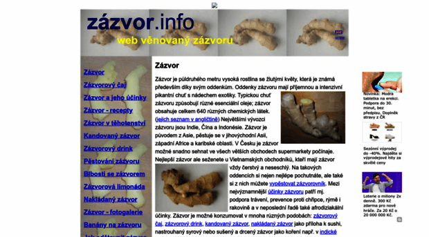 zazvor.info