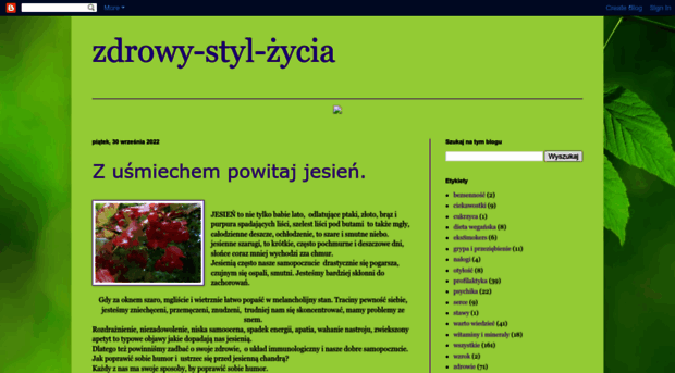 zdrowy-styl-zycia.blogspot.com