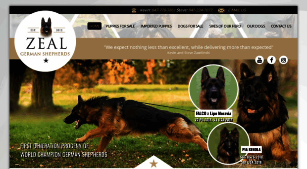 zealgermanshepherds.com