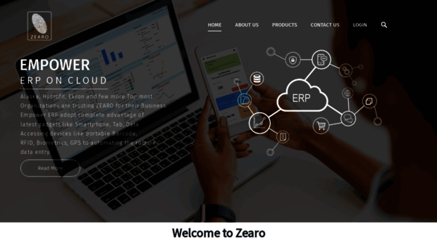 zearoconsulting.com