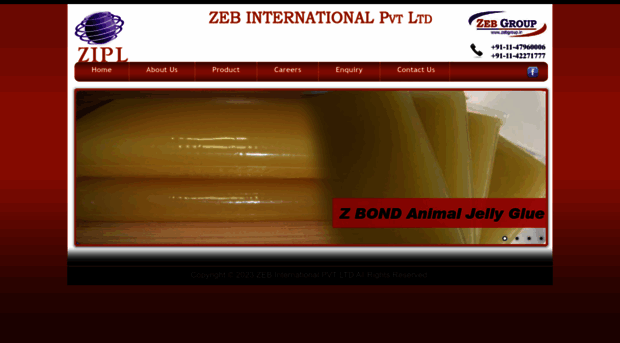 zebinternationals.com