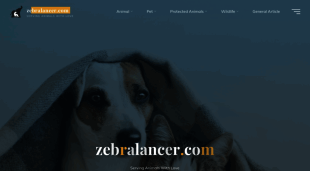 zebralancer.com