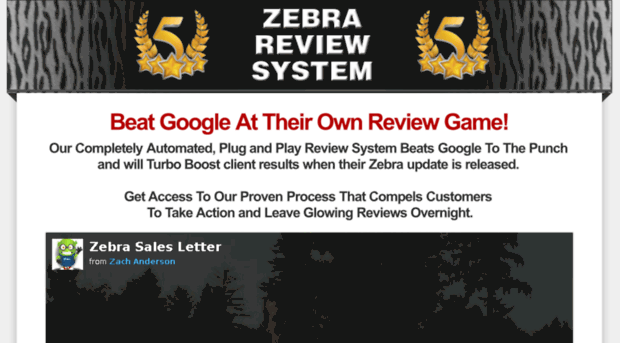 zebrareviewsystem.com