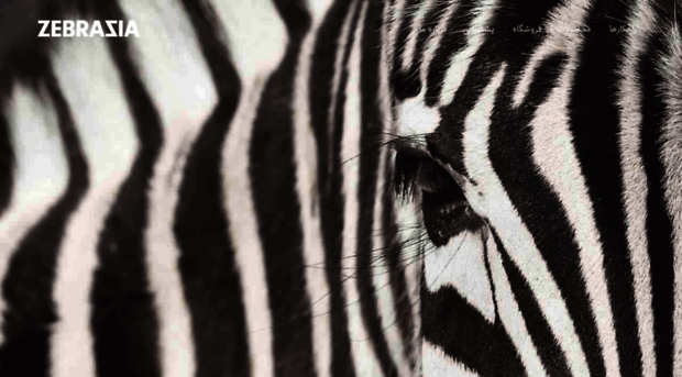 zebrasia.com