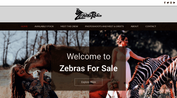 zebrasrus.com