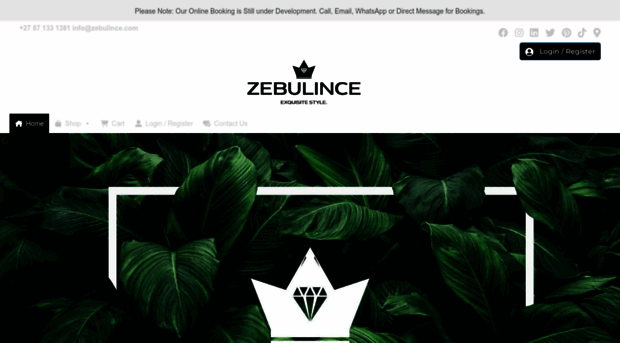 zebulince.com