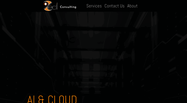 zecilconsulting.com