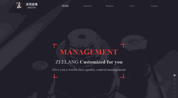 zeelangglass.com