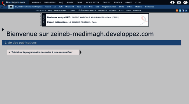 zeineb-medimagh.developpez.com