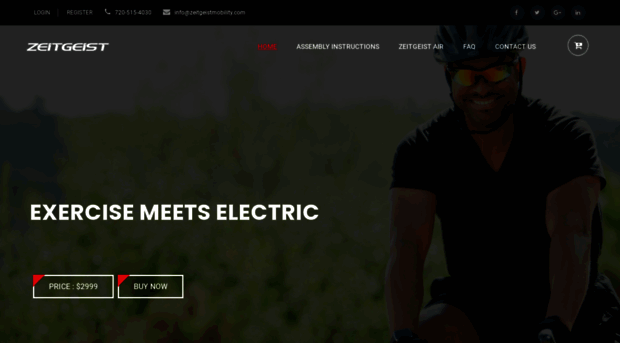 zeitgeistelectric.com