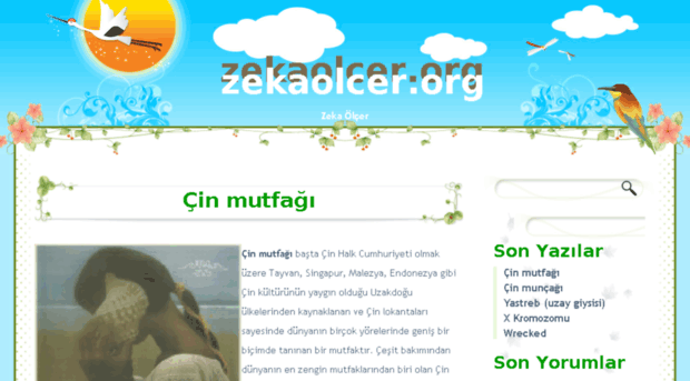 zekaolcer.org