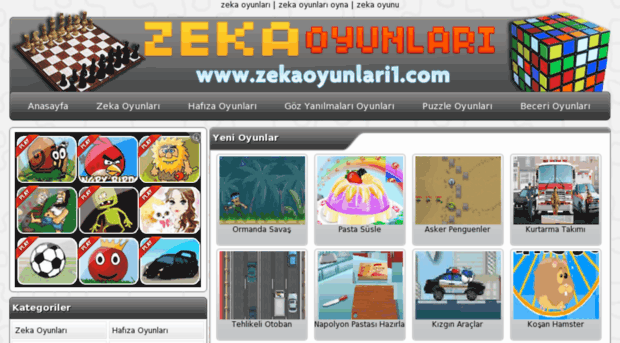 zekaoyunlari1.com