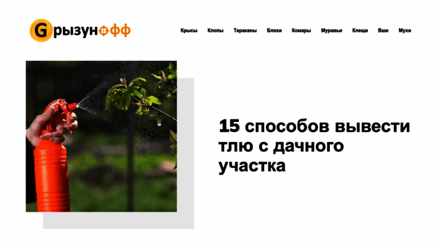 zelenogorsk24.ru